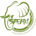 logo_safari